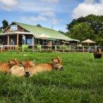 natures way farm stall