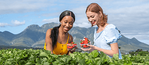 redberry farm